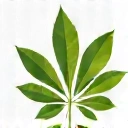 Icono de ingredientes naturales